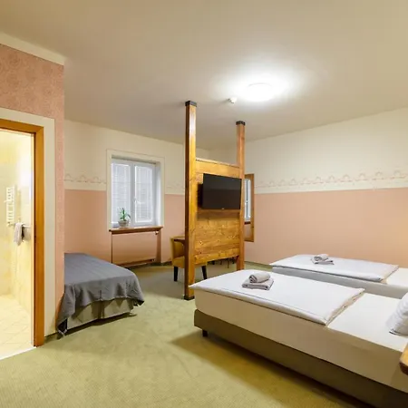 Hotel U Simla 3*